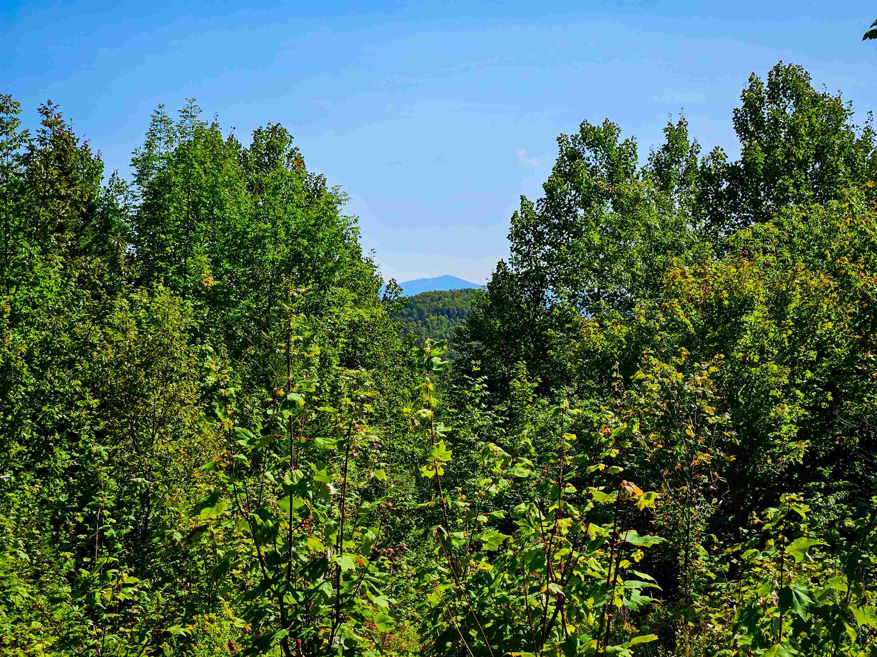 522 Mt Misery Road Littleton, NH 03561 - Photo 22 of 40 Gallery Image 22