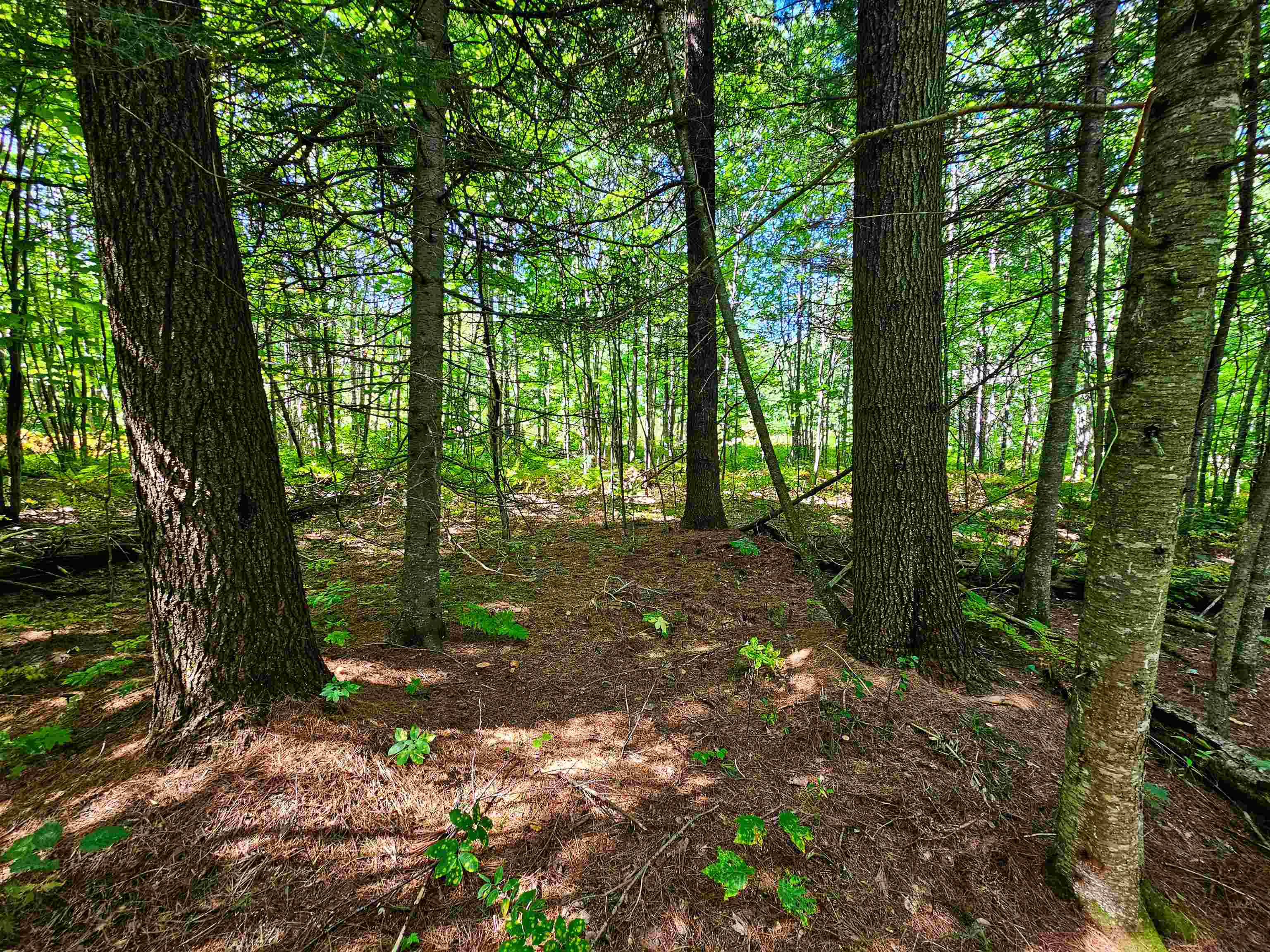 522 Mt Misery Road Littleton, NH 03561 - Photo 25 of 40 Gallery Image 25