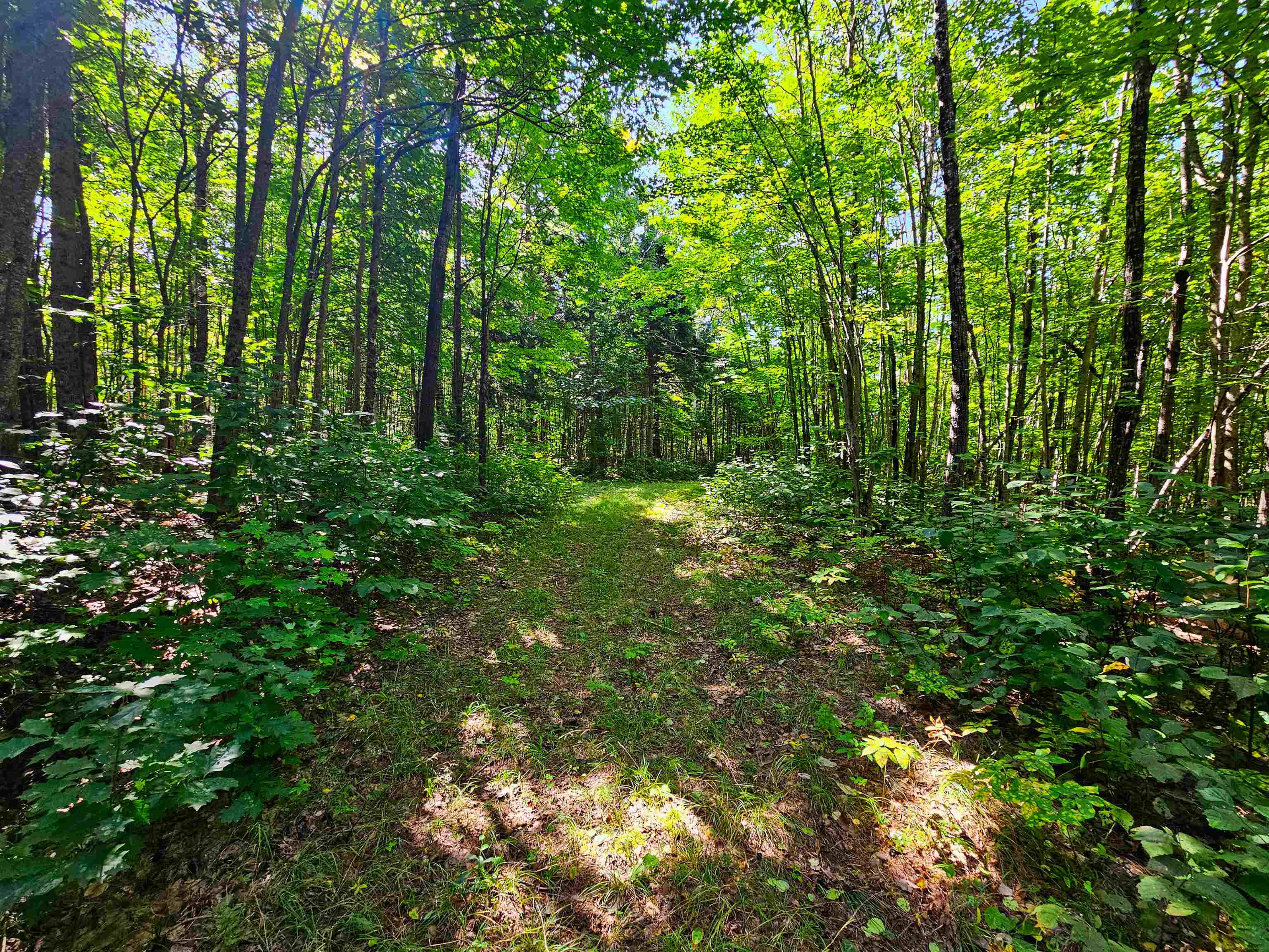 522 Mt Misery Road Littleton, NH 03561 - Photo 26 of 40 Gallery Image 26