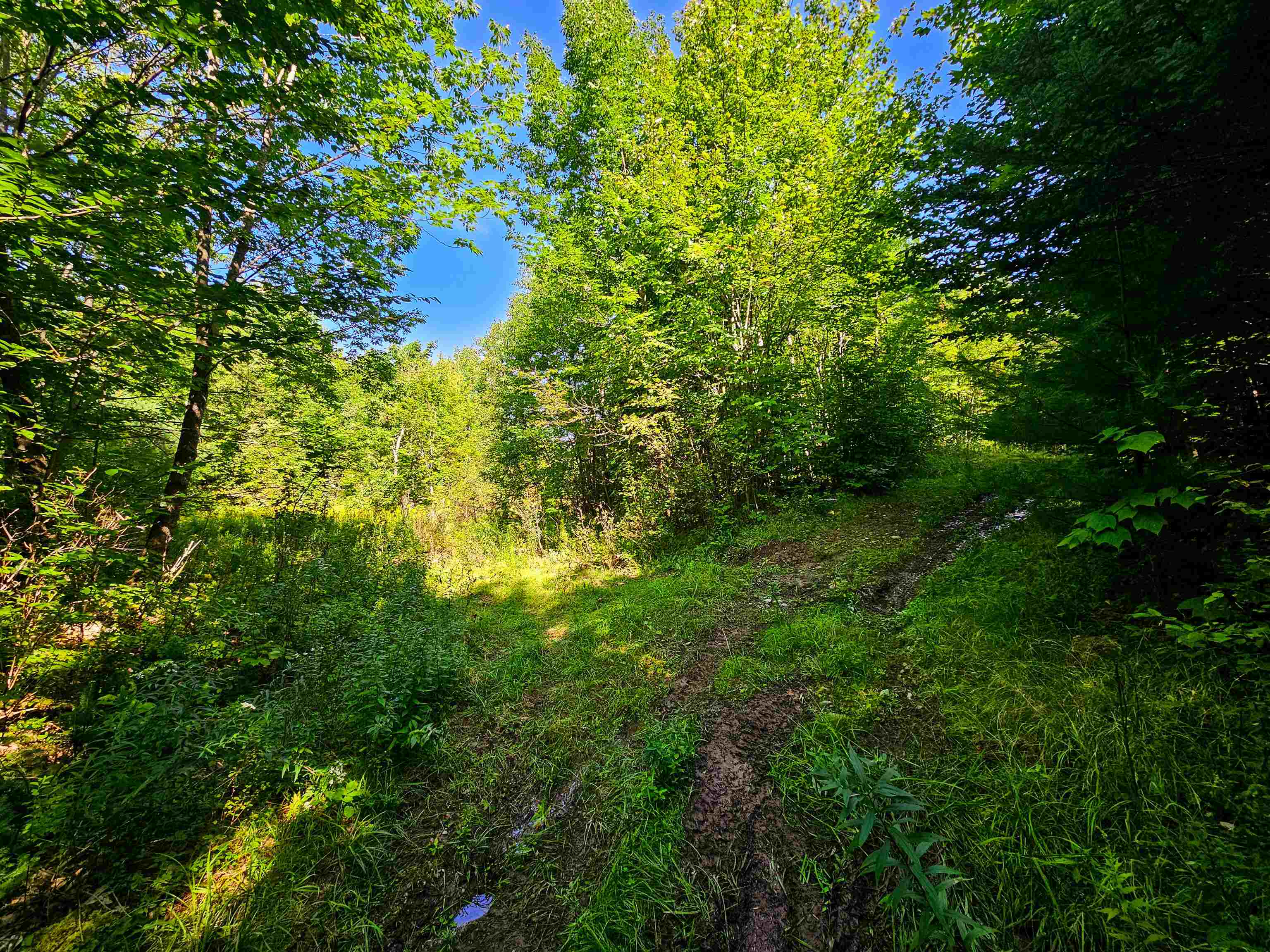 522 Mt Misery Road Littleton, NH 03561 - Photo 28 of 40 Gallery Image 28