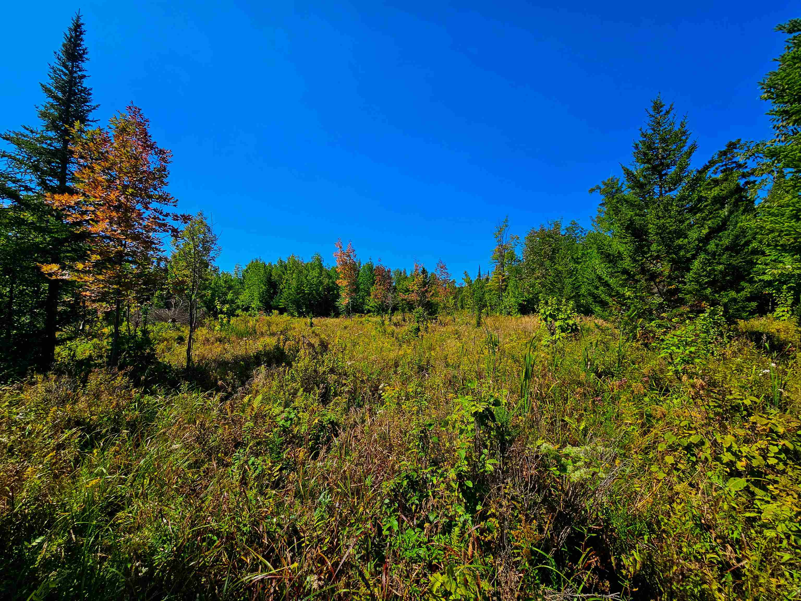 522 Mt Misery Road Littleton, NH 03561 - Photo 10 of 40 Gallery Image 10