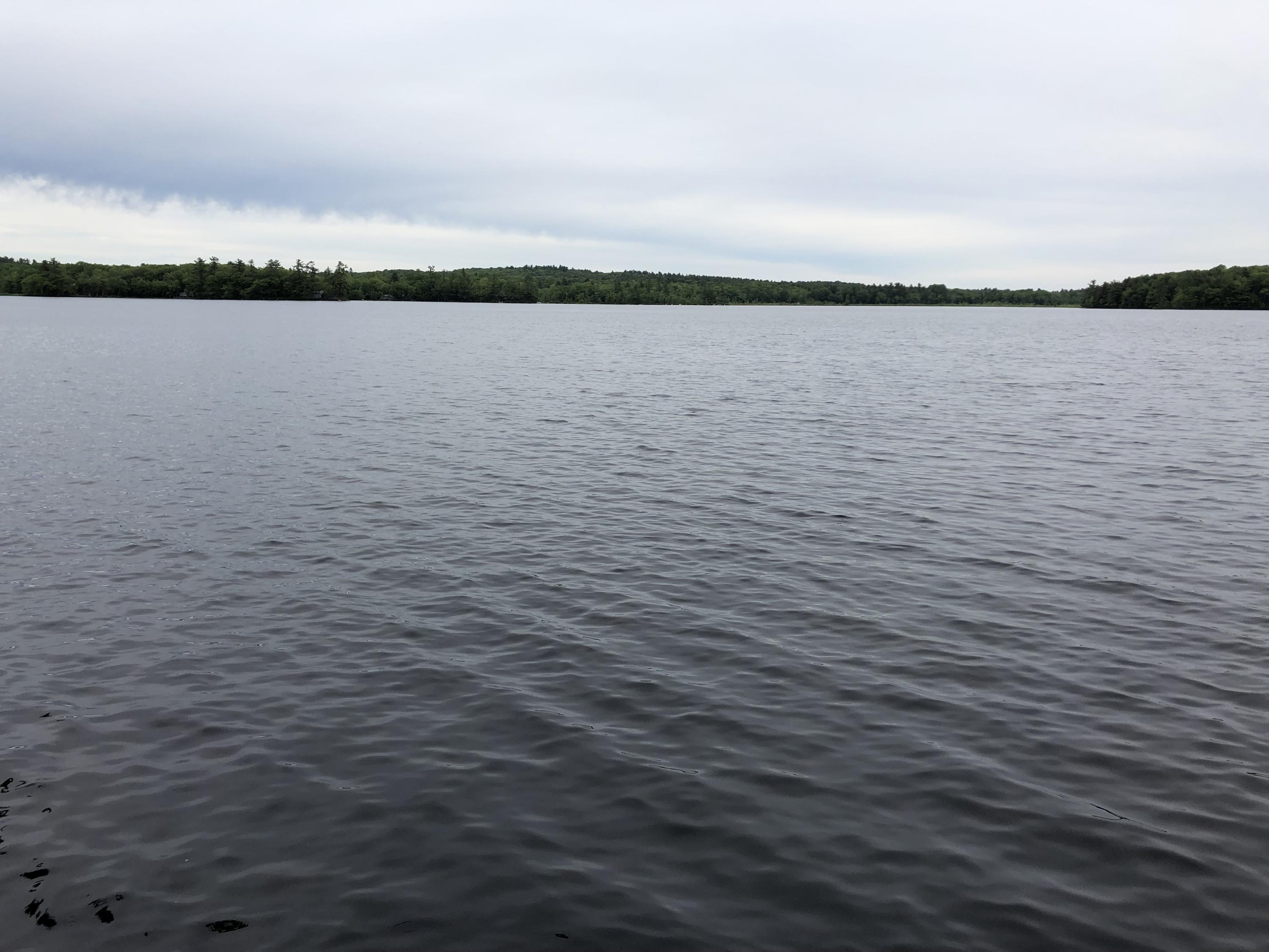 0 Albin Road Searsmont, ME 04973 - Photo 13 of 21 IMG_2660