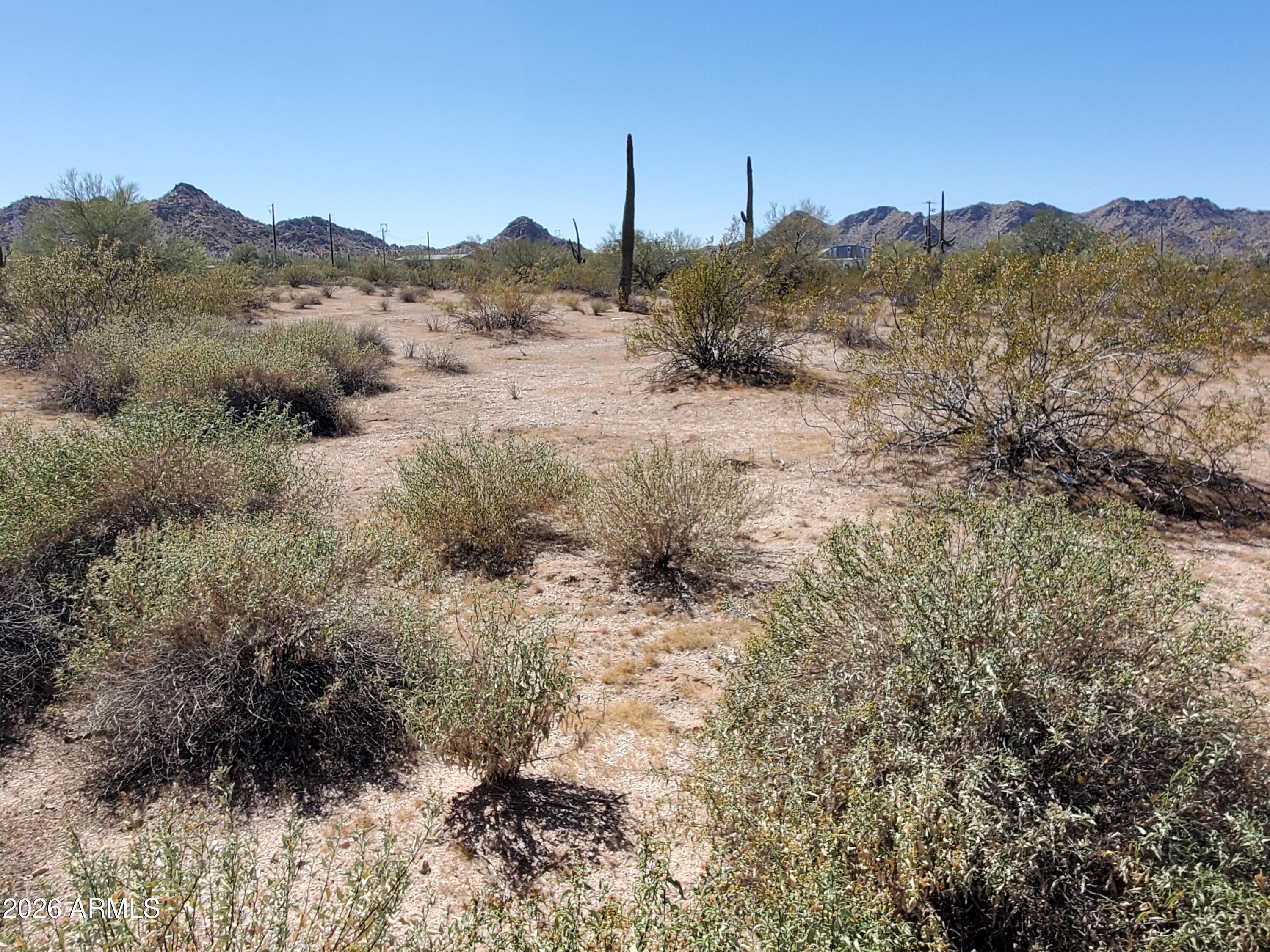 a view of a dry yard with mountains in the background