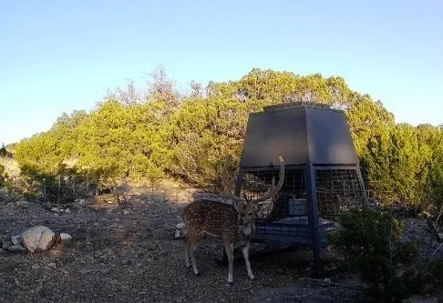 a wooden bench sitting in middle of a room