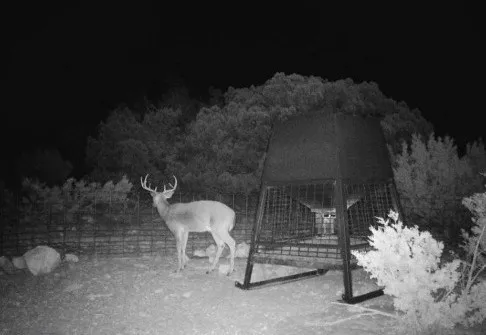 a view of a field with mountains in the background
