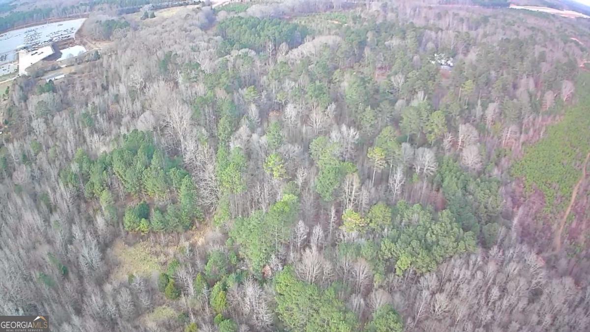 884 Jackson Trail Road Winder, GA 30680 - Photo 13 of 19 a view of a yard