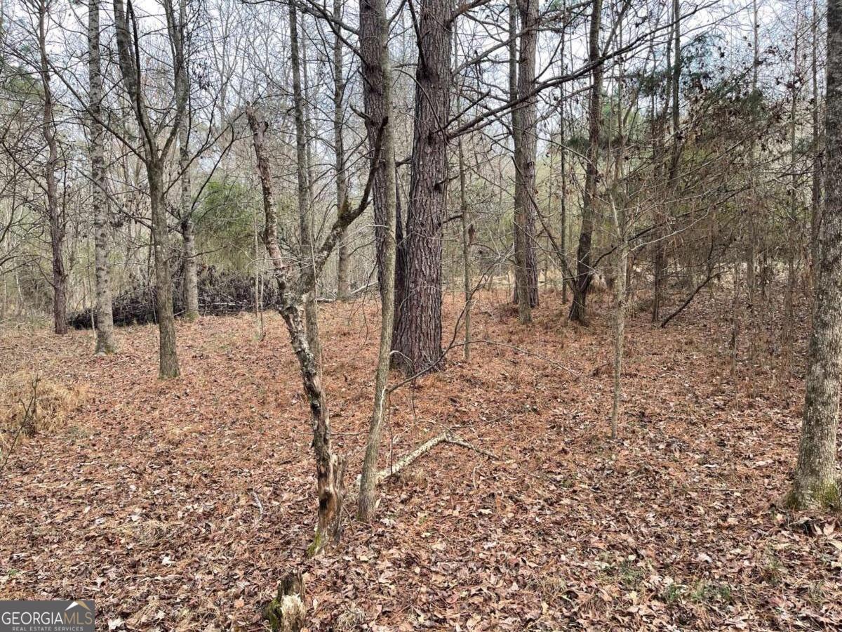 884 Jackson Trail Road Winder, GA 30680 - Photo 2 of 19 a view of covered with snow