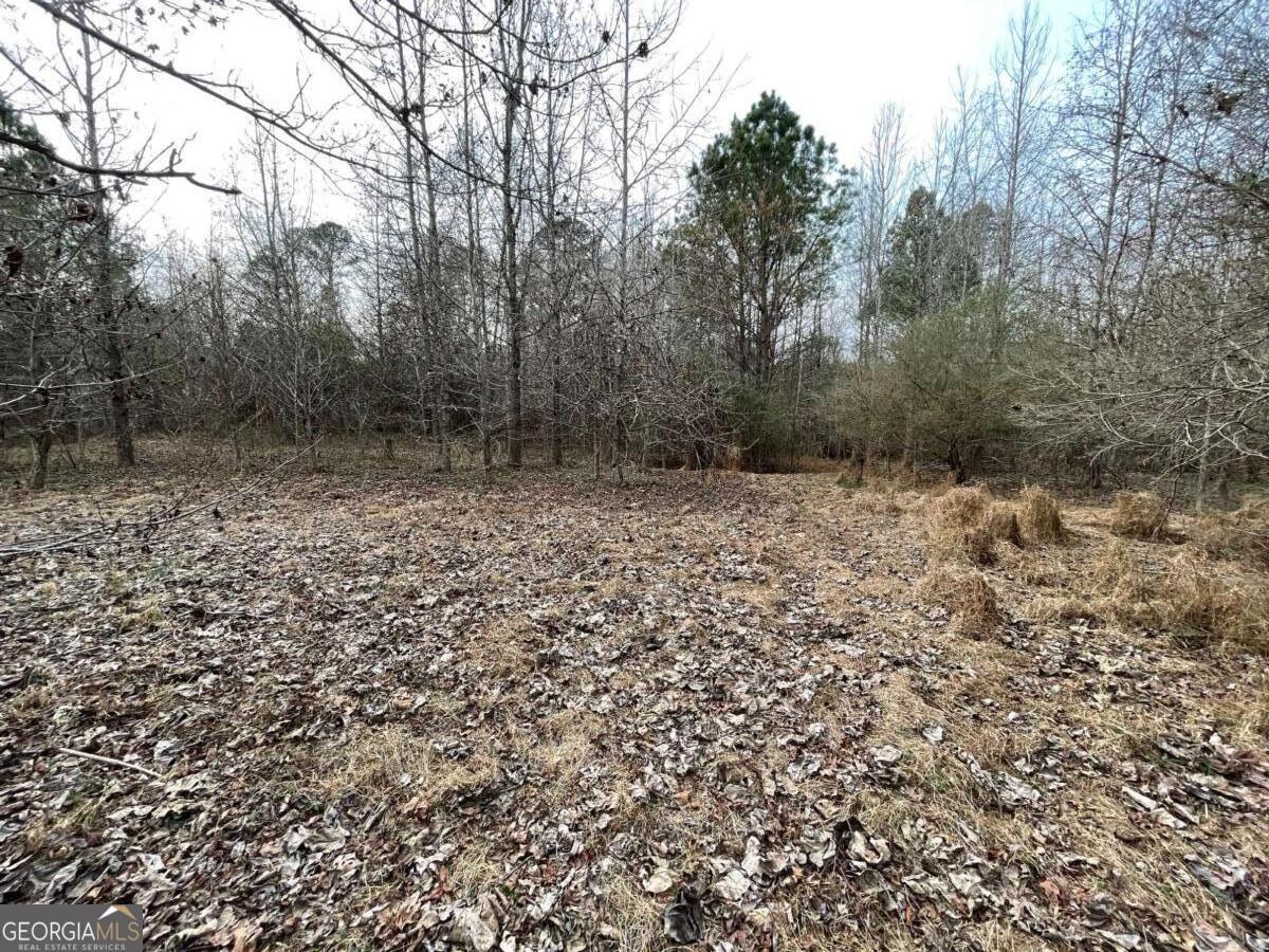 884 Jackson Trail Road Winder, GA 30680 - Photo 3 of 19 a view of a dry yard with trees