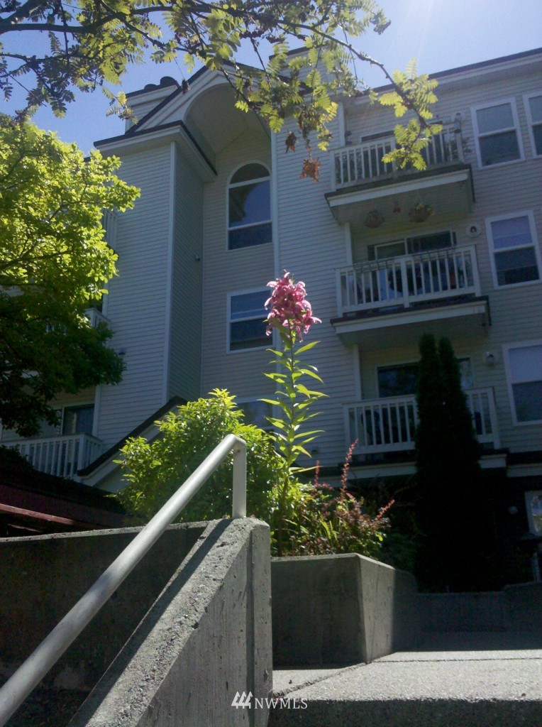 411 North 90th Street, Unit 307 Seattle, WA 98103 - Photo 13 of 16 Gallery Image 13