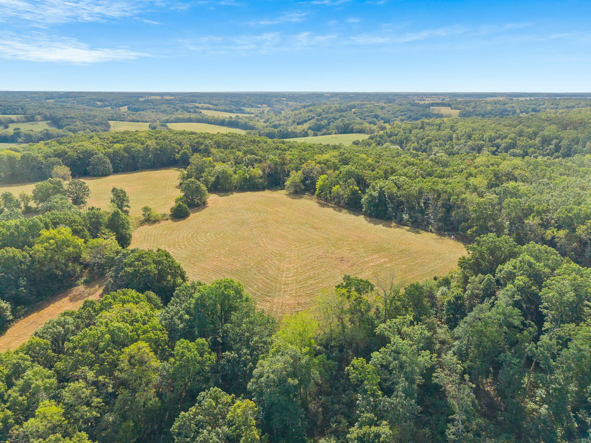 0 Bobcat Road Fordland, MO 65652 - Photo 11 of 24 000 Bobcat Rd
