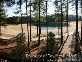 30 Hawk Pine Spring Lake Spring Lake, NC 28390 - Photo 21 of 21 Gallery Image 21
