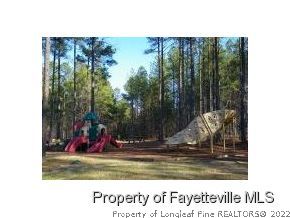 30 Hawk Pine Spring Lake Spring Lake, NC 28390 - Photo 5 of 21 Gallery Image 5
