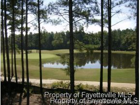 30 Hawk Pine Spring Lake Spring Lake, NC 28390 - Photo 9 of 21 Gallery Image 9