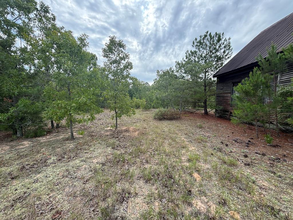 0 Liberty Road Mauk, GA 31058 - Photo 11 of 13