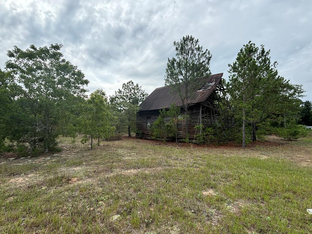 0 Liberty Road Mauk, GA 31058 - Photo 12 of 13