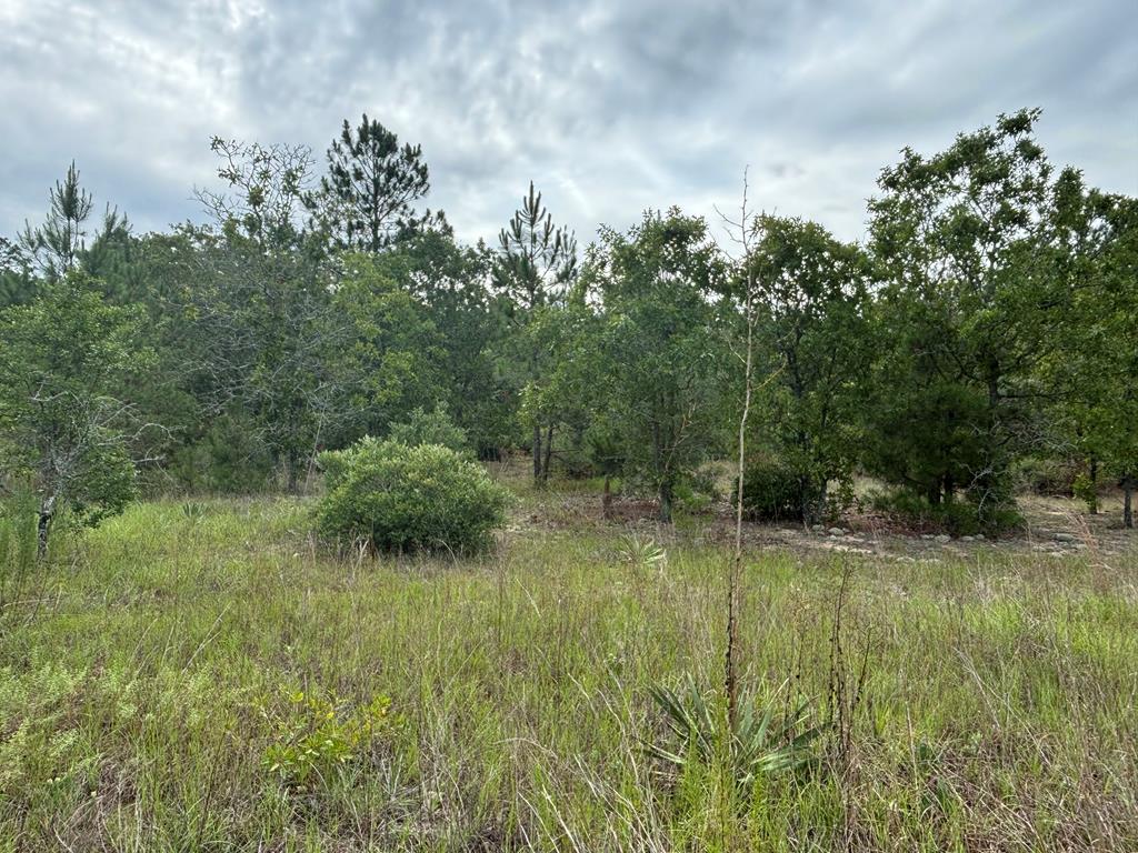 0 Liberty Road Mauk, GA 31058 - Photo 13 of 13