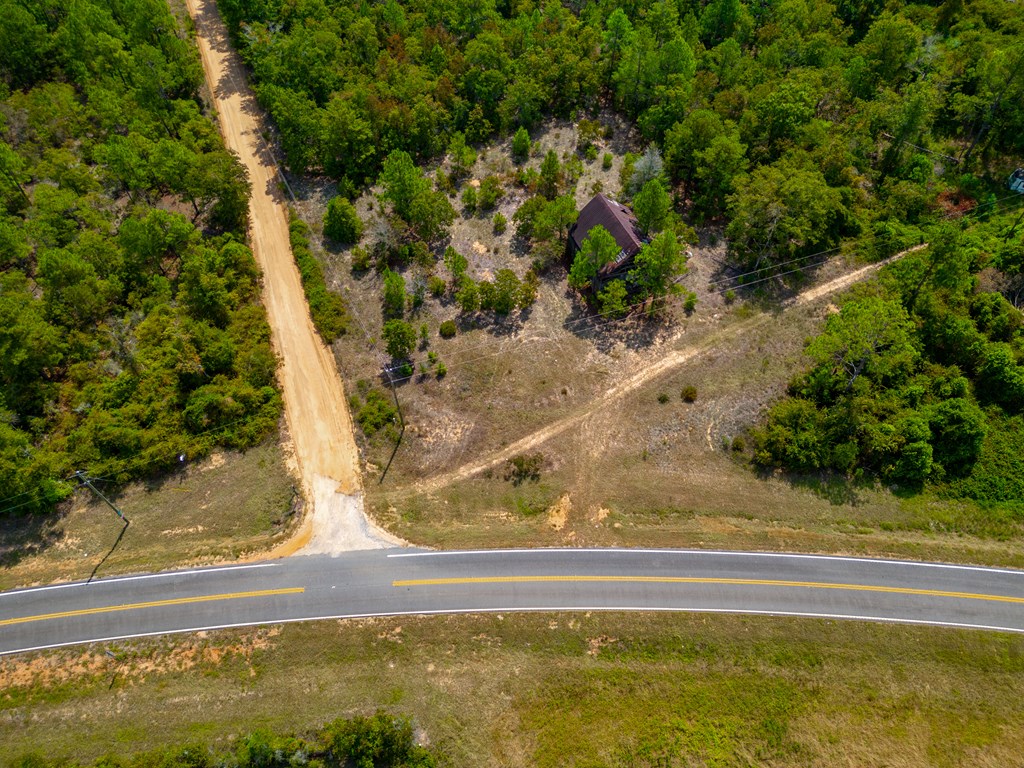 0 Liberty Road Mauk, GA 31058 - Photo 3 of 13 Intersection of Liberty Rd and GA Hwy 127
