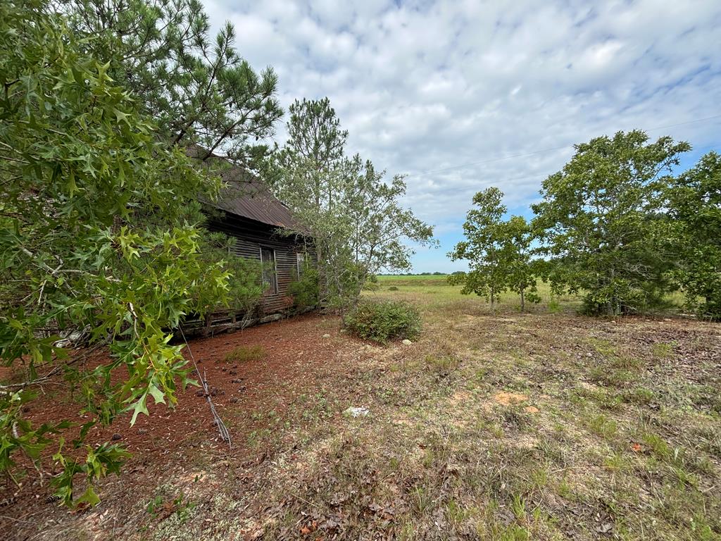 0 Liberty Road Mauk, GA 31058 - Photo 6 of 13