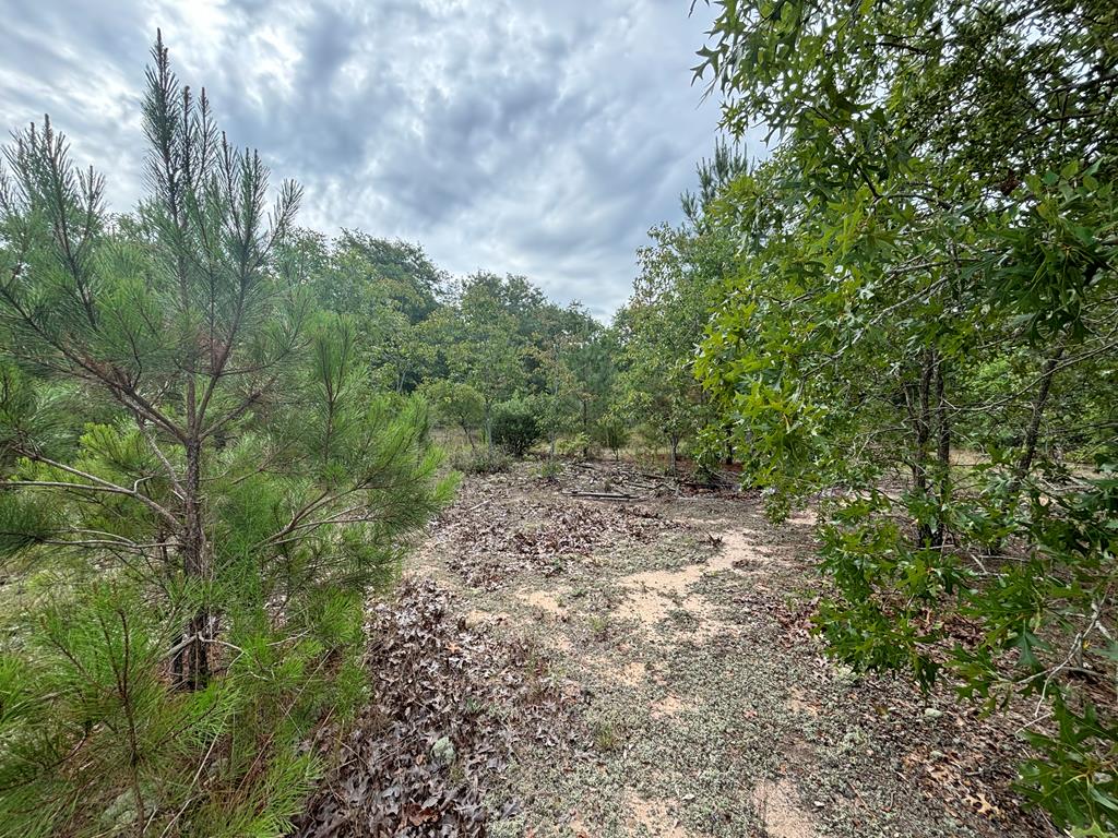 0 Liberty Road Mauk, GA 31058 - Photo 7 of 13