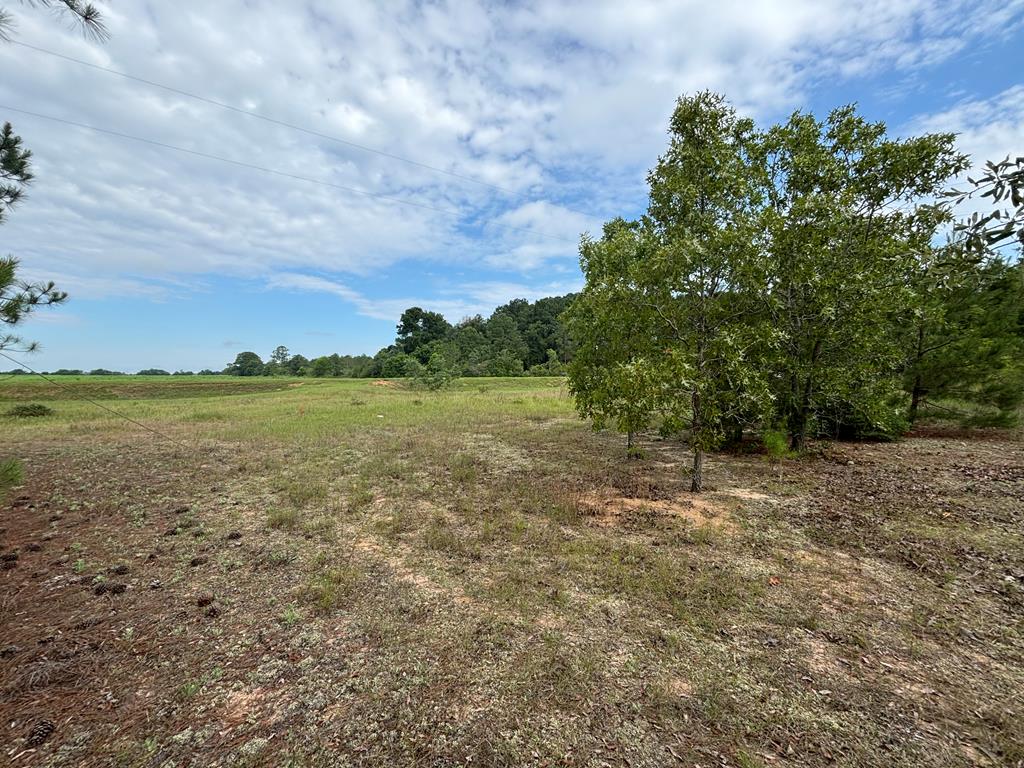 0 Liberty Road Mauk, GA 31058 - Photo 9 of 13
