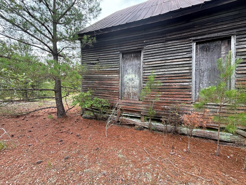 0 Liberty Road Mauk, GA 31058 - Photo 10 of 13