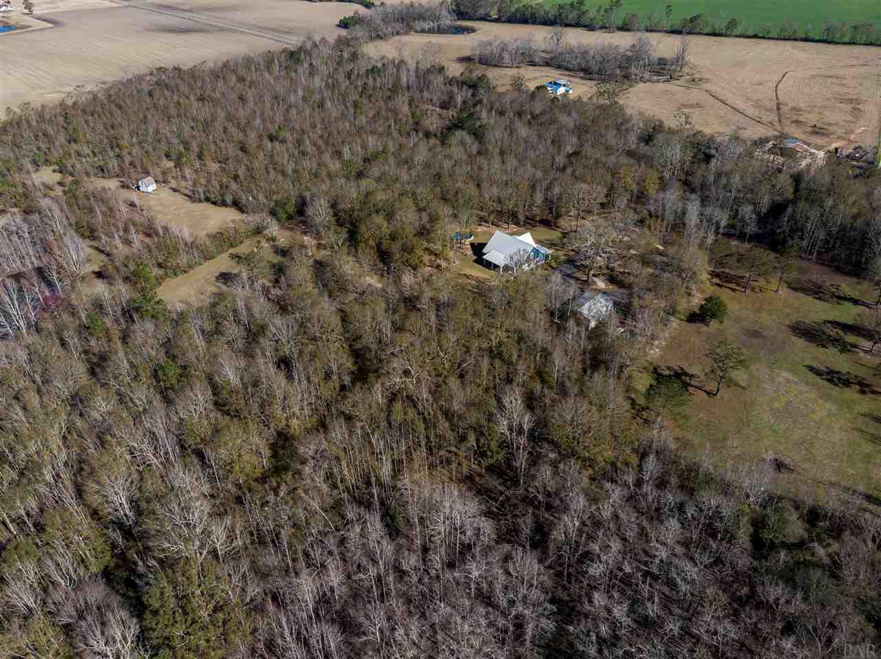 2365 Pine Level Church Road Jay, FL 32565 - Photo 33 of 48