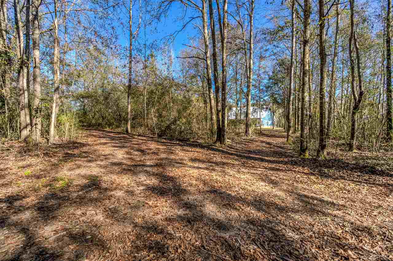 2365 Pine Level Church Road Jay, FL 32565 - Photo 36 of 48