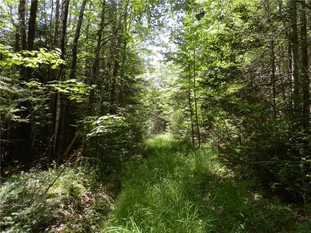 0 Rays Point Road Milbridge, ME 04658 - Photo 15 of 34 further down tote road- would make...