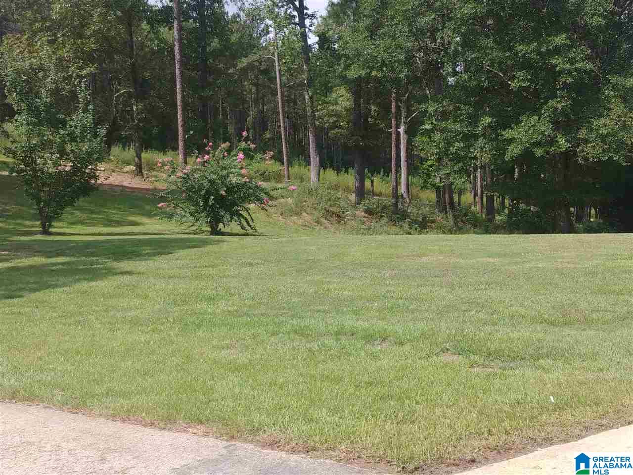 806 Easonville Road Cropwell, AL 35054 - Photo 15 of 16