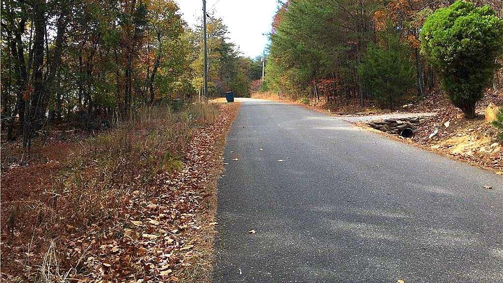 0 South Maple Lane Jasper, GA 30143 - Photo 15 of 33 a view of a forest with trees