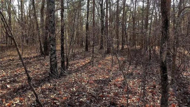 a view of a lake with a wooden deck and a lake view