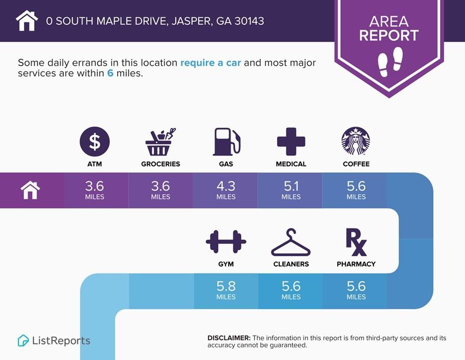 0 South Maple Lane Jasper, GA 30143 - Photo 31 of 33