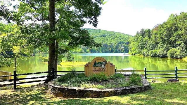 a view of a swimming pool with a garden