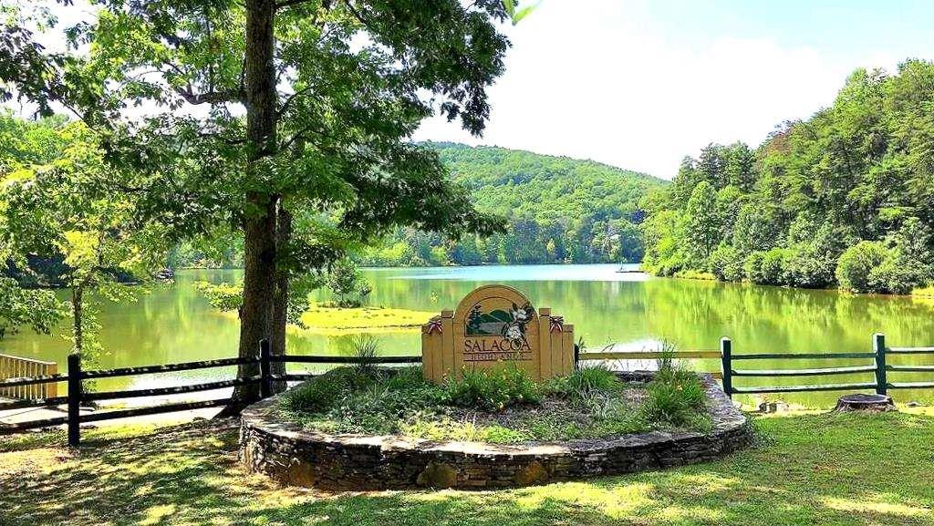 0 South Maple Lane Jasper, GA 30143 - Photo 8 of 33 a view of a garden with a fountain