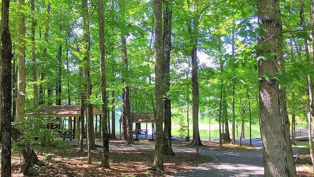 a green field with lots of trees