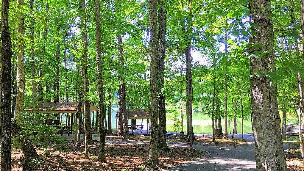 0 South Maple Lane Jasper, GA 30143 - Photo 9 of 33