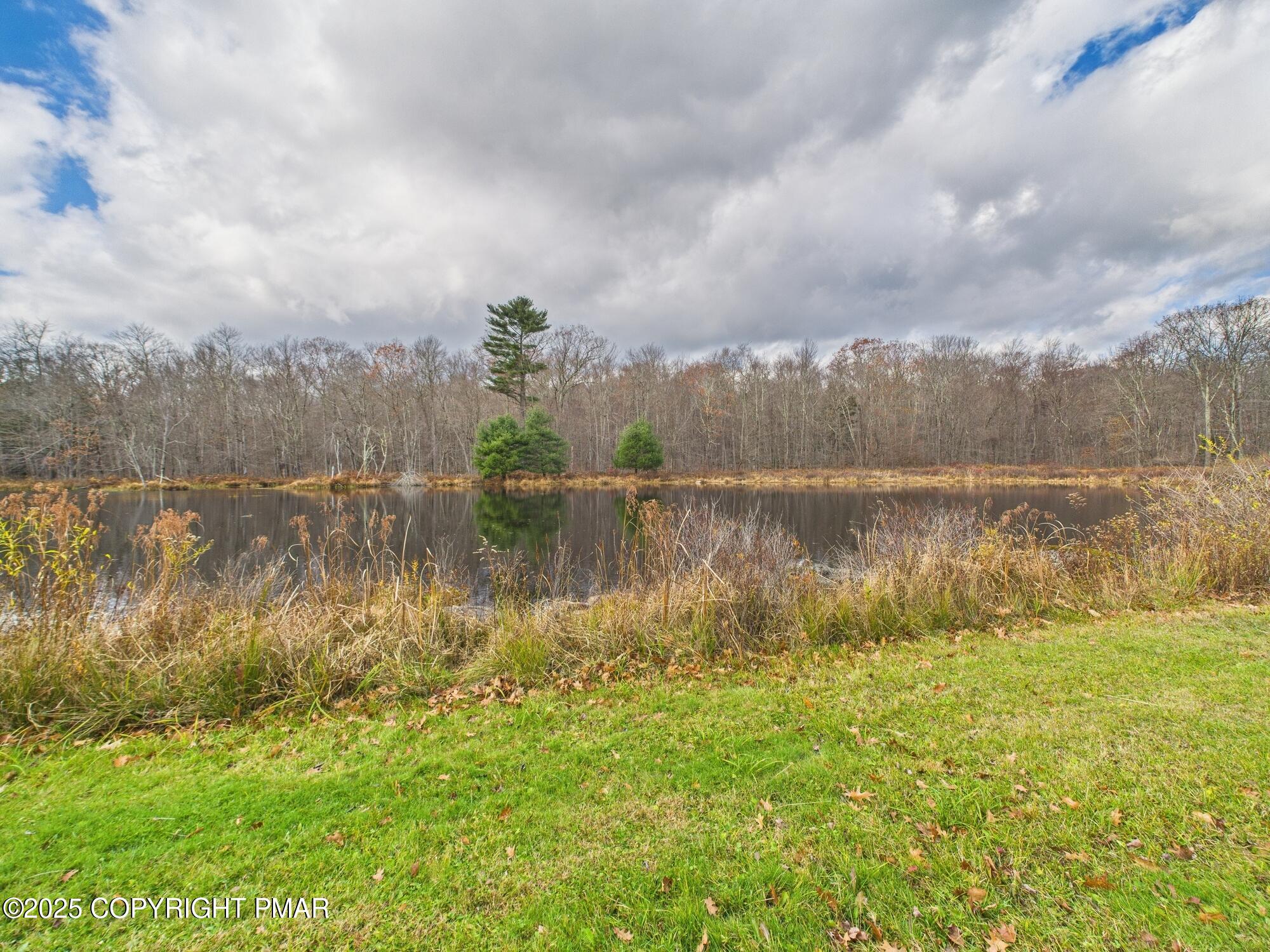 1286 Blackberry Road Pocono Lake, PA 18347 - Photo 48 of 52 POND AT END OF DRIVEWAY