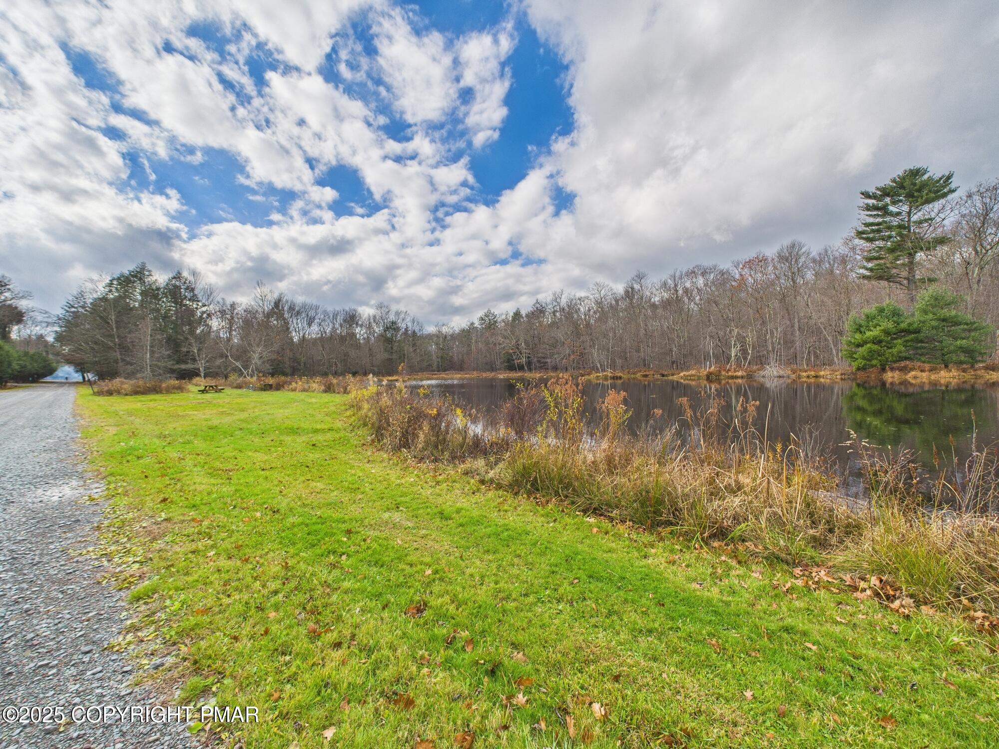 1286 Blackberry Road Pocono Lake, PA 18347 - Photo 49 of 52 POND END OF DRIVEWAY