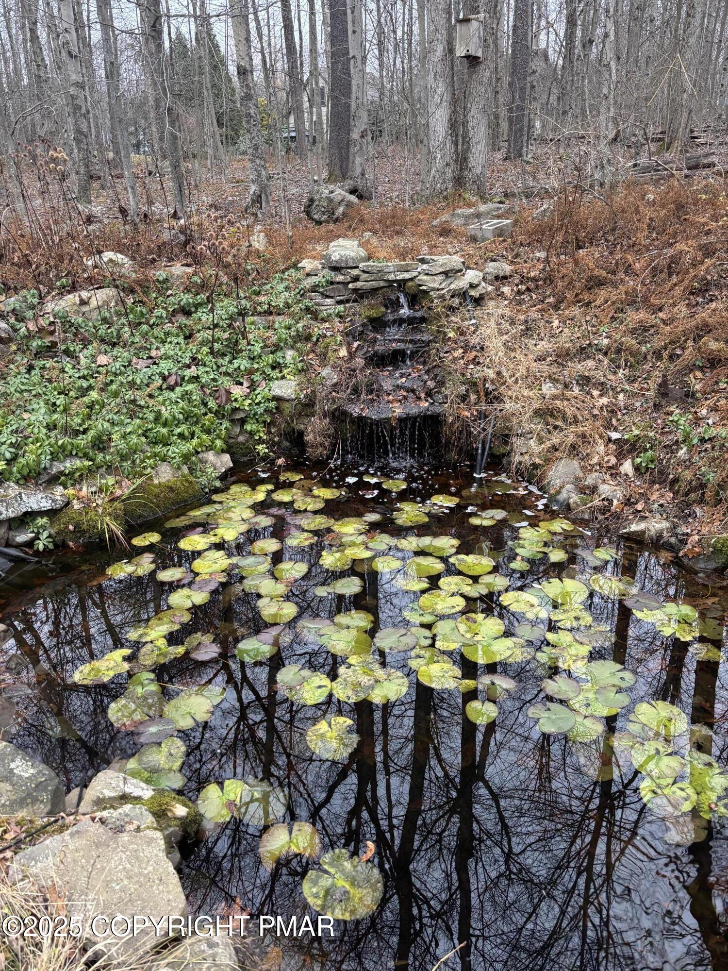 1286 Blackberry Road Pocono Lake, PA 18347 - Photo 52 of 52 waterfall/pond