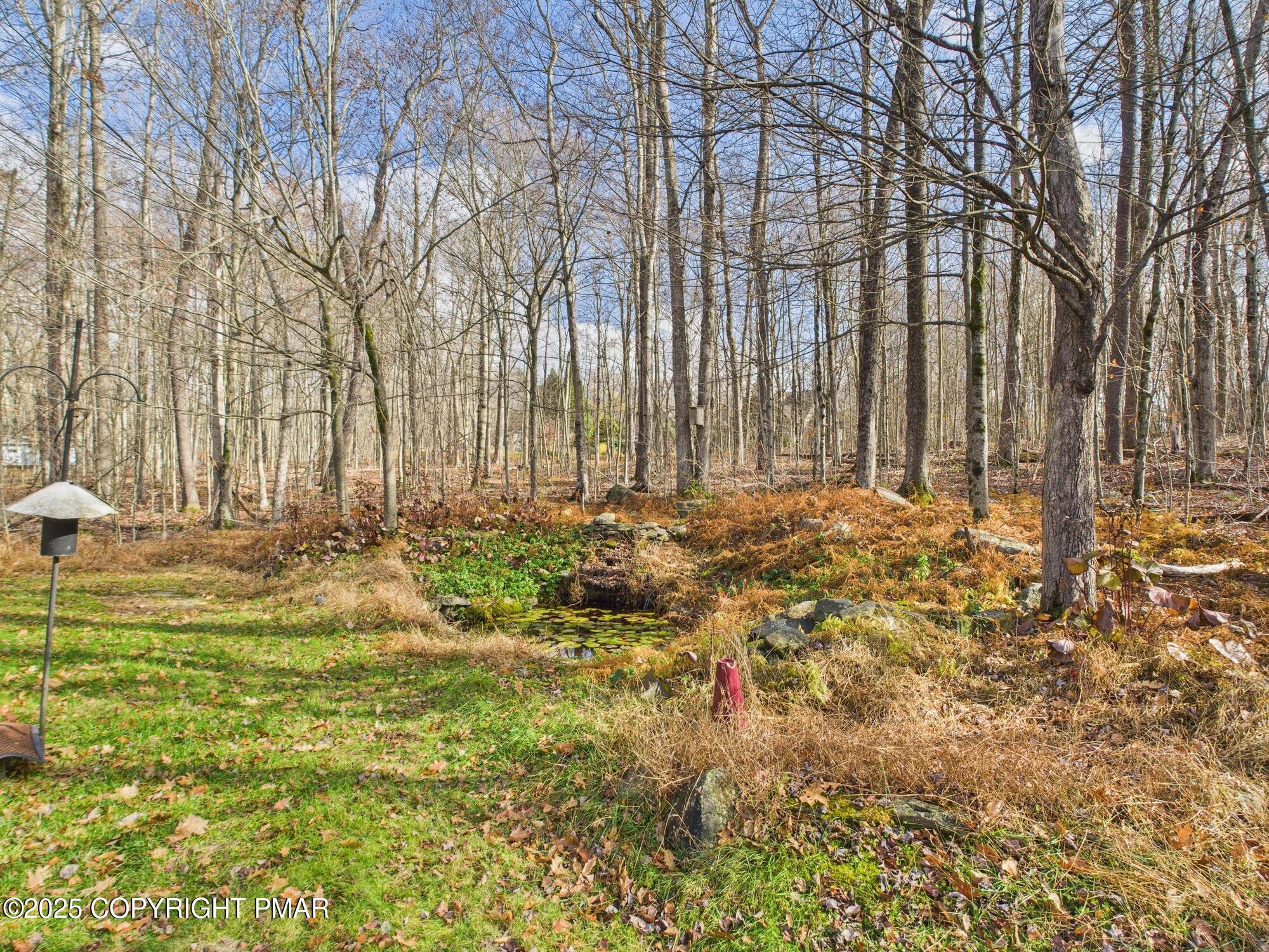 1286 Blackberry Road Pocono Lake, PA 18347 - Photo 7 of 52 BACK LOT