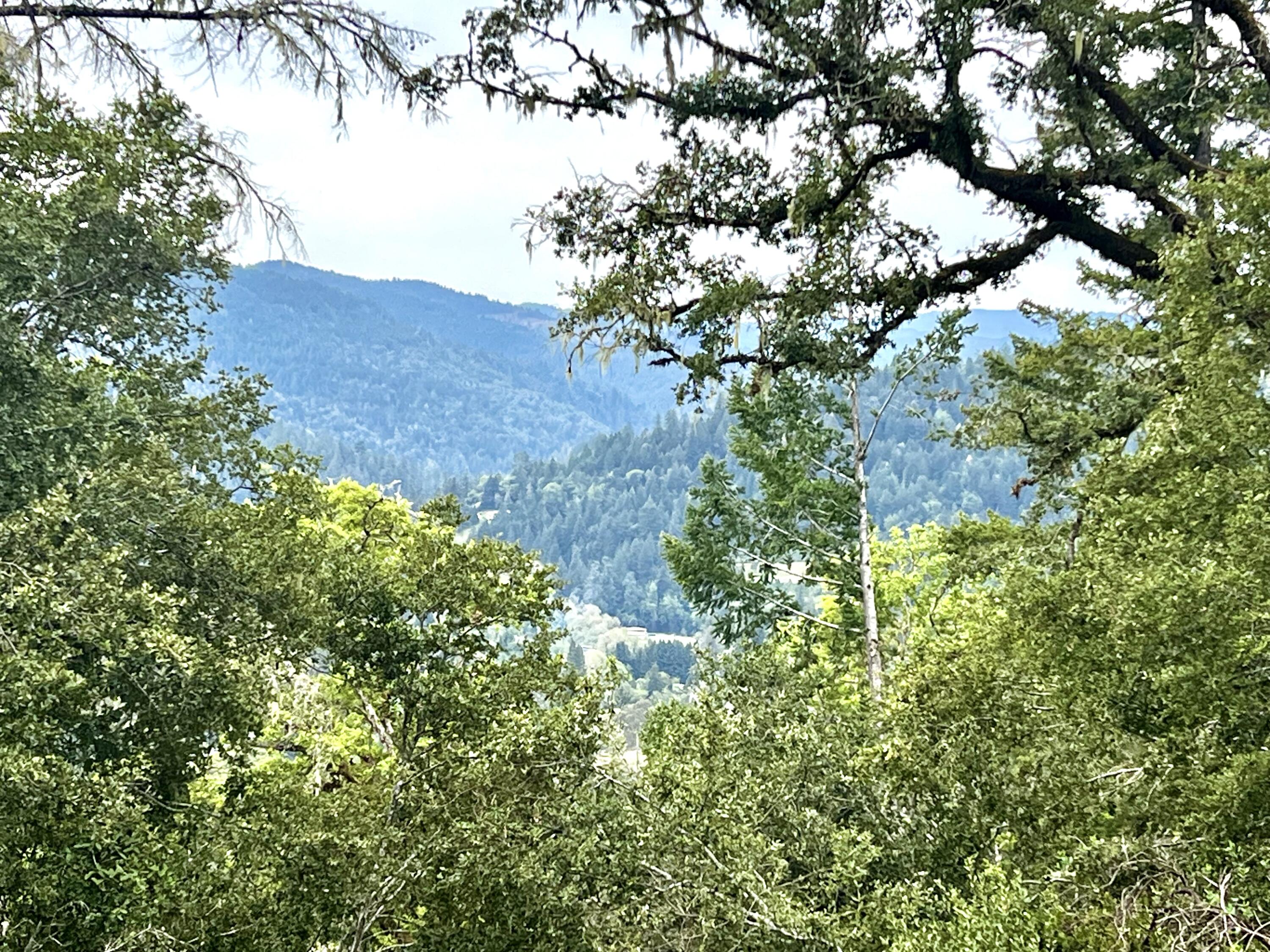 1880 Tunnel Road Redway, CA 95560 - Photo 10 of 13