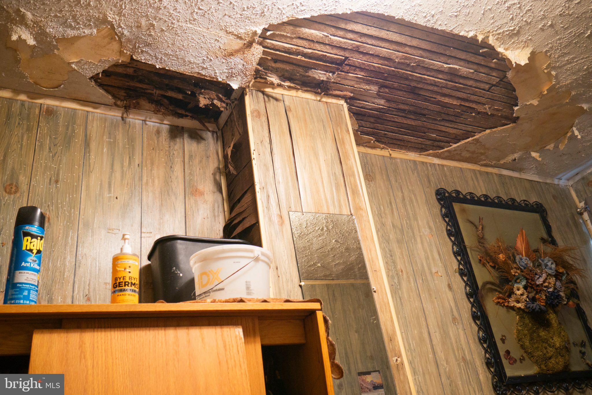 2232 Chester Street Southeast Washington, DC 20020 - Photo 21 of 35 Ceiling damage reveals hidden decay.
