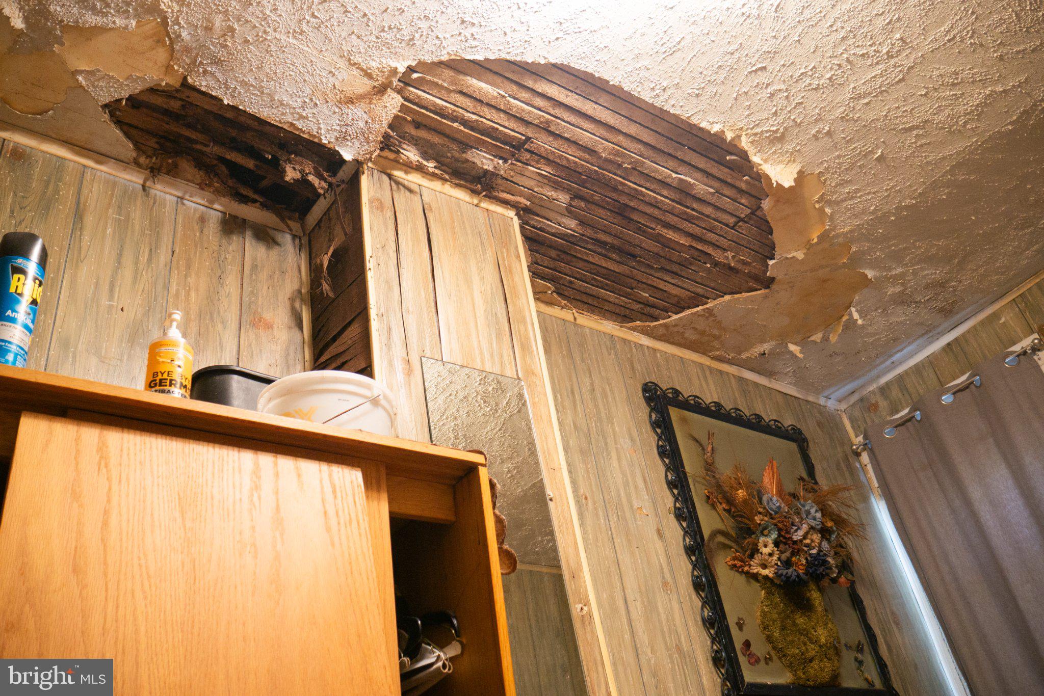 2232 Chester Street Southeast Washington, DC 20020 - Photo 22 of 35 Ceiling damage reveals hidden decay.