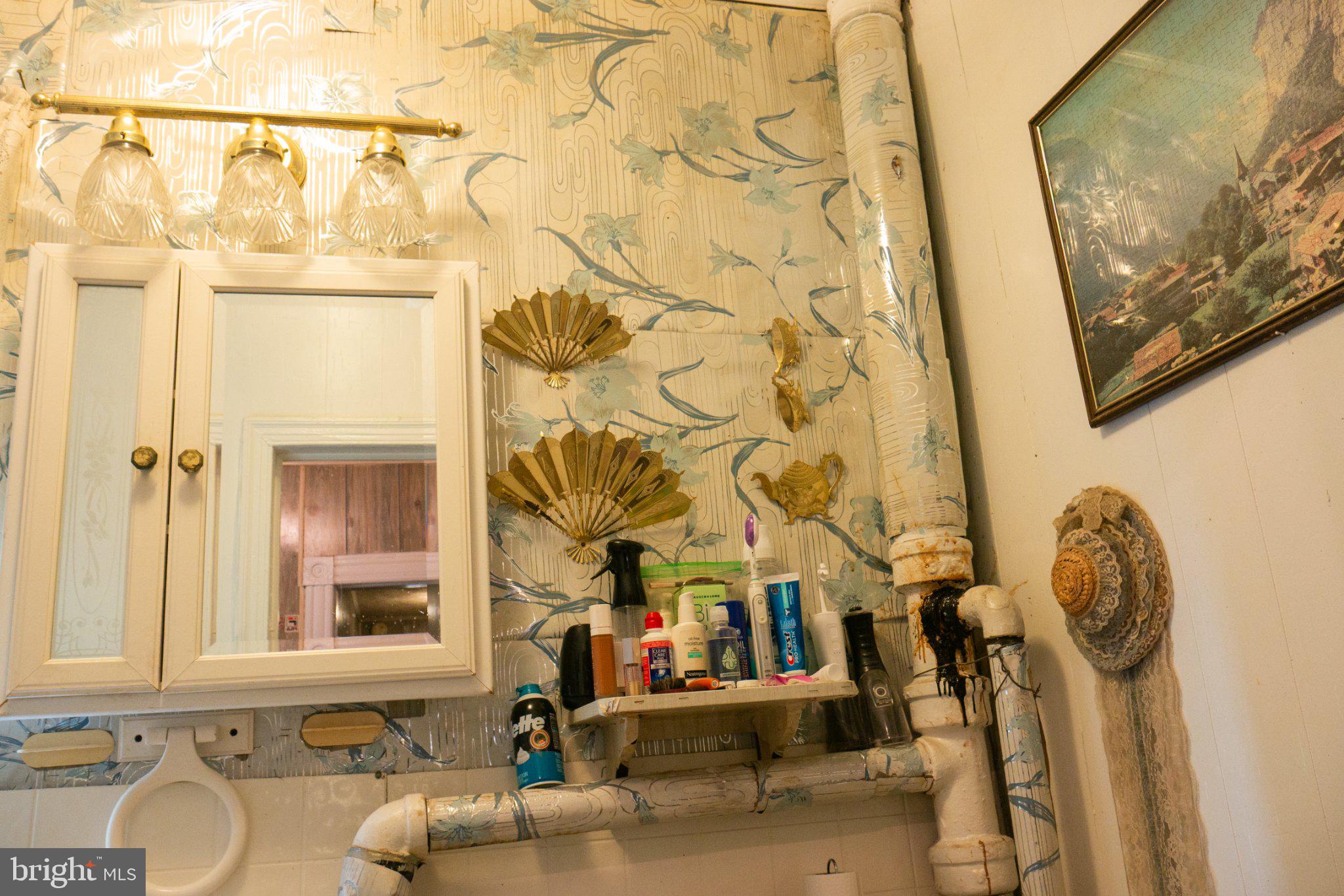 2232 Chester Street Southeast Washington, DC 20020 - Photo 26 of 35 Charming vintage bathroom decor.