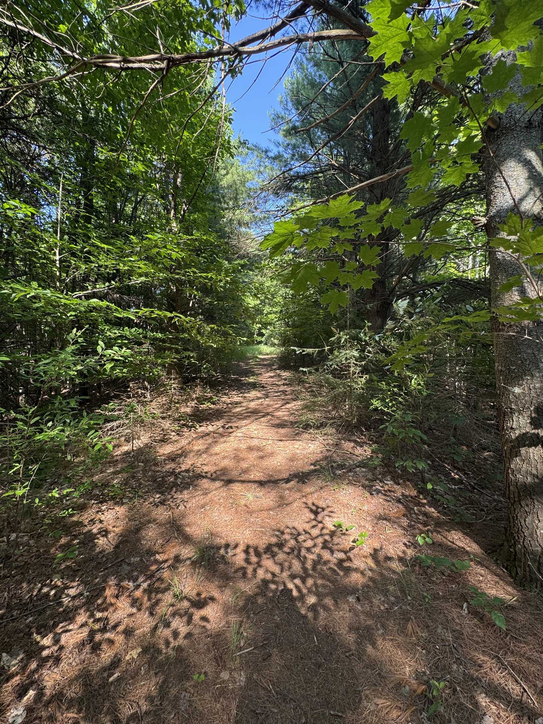 Lot #6 East Bellinger Road, Unit 6 BELLINGER ESTATES (FIN) Cedar, MI 49621 - Photo 30 of 34