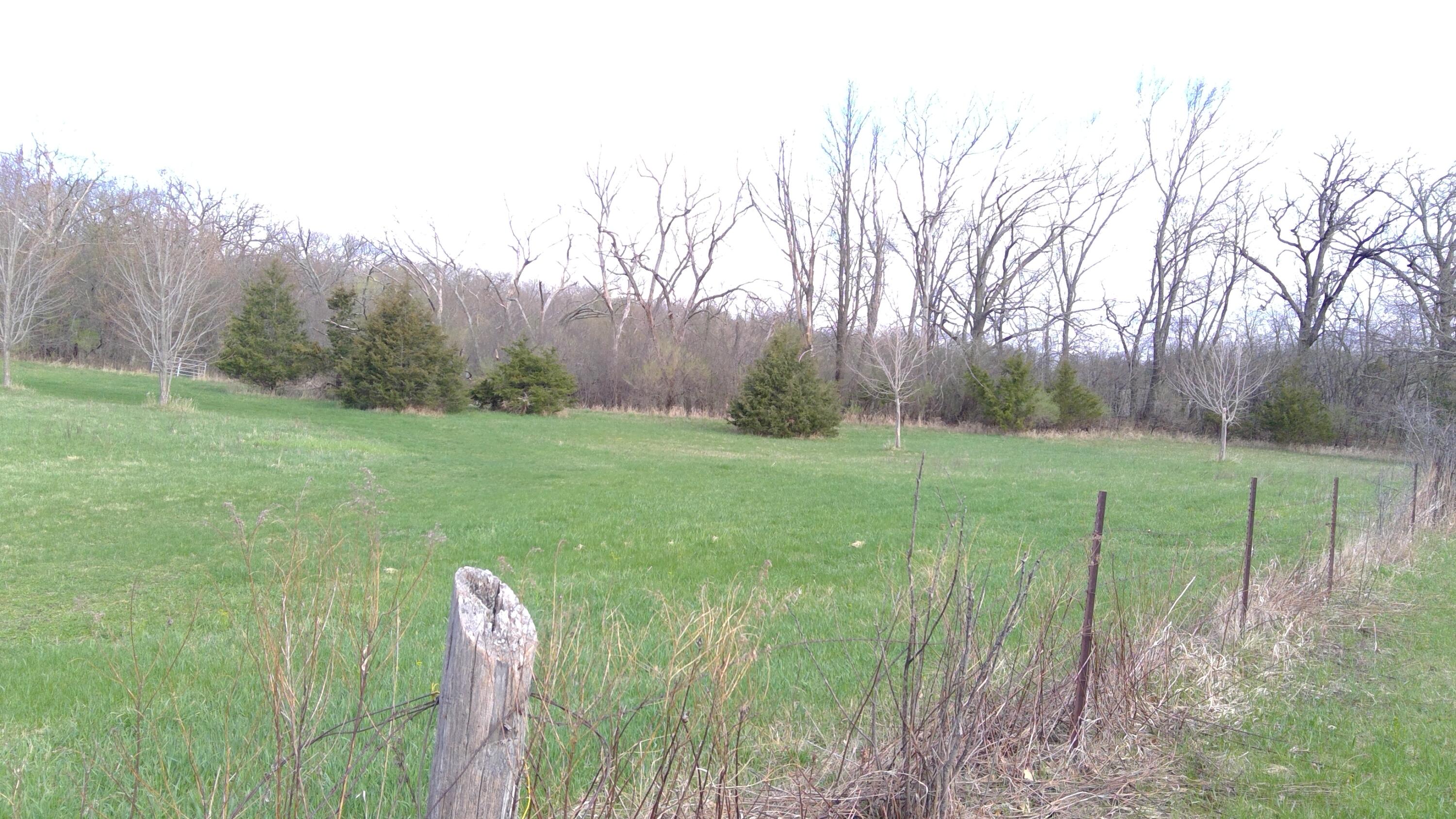 1 - WIN_20210415_09_00_59_Pro