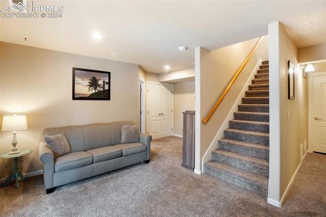 31 Wahsatch Road Florissant, CO 80816 - Photo 25 of 46 Basement entertainment area and extra storage