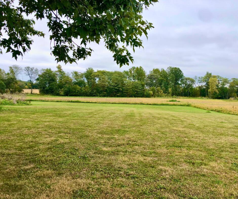 10164 Ashley Road Ashley, OH 43003 - Photo 10 of 19 Spacious yard