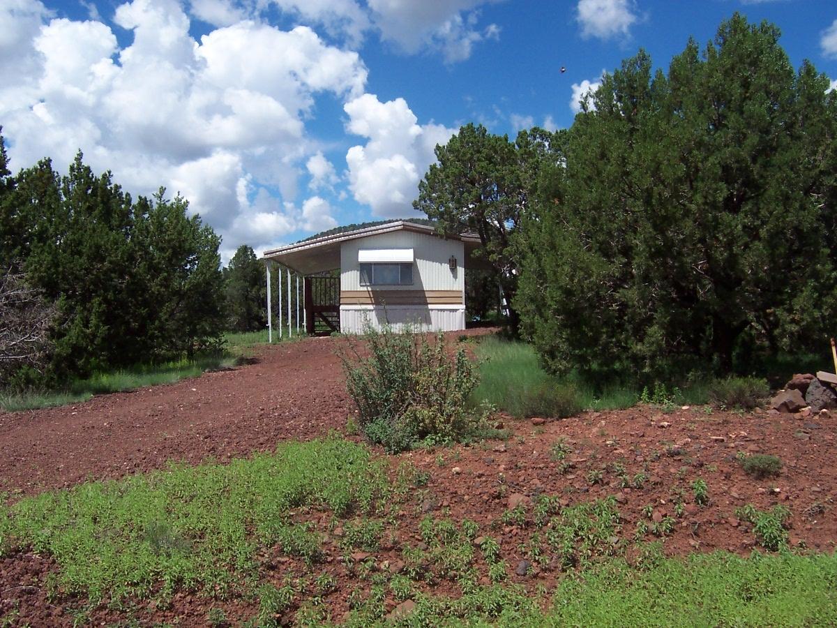 1533 East Barbara Road Williams, AZ 86046 - Photo 3 of 14 000_2136