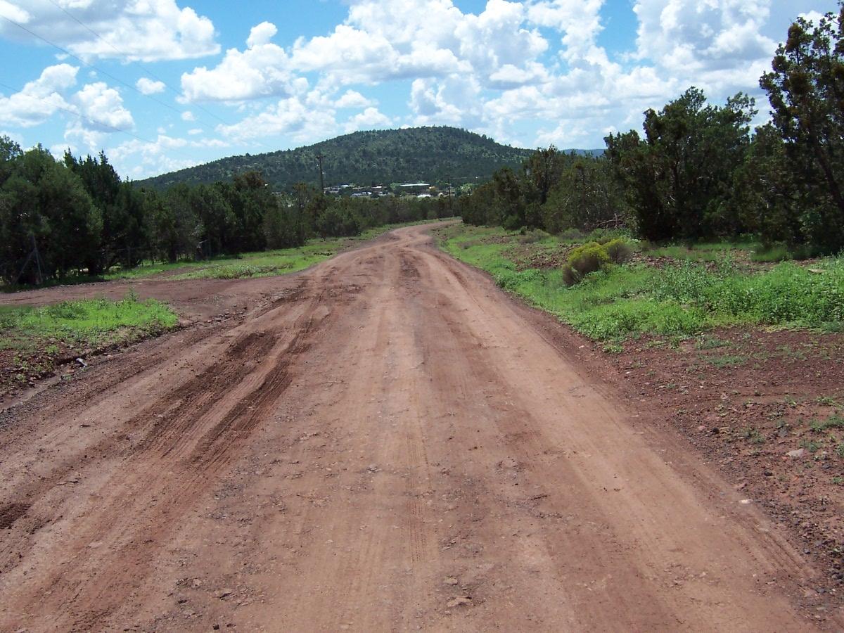 1533 East Barbara Road Williams, AZ 86046 - Photo 4 of 14 000_2137